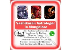 Vashikaran Astrologer in Mangalore