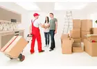 Best Removal Service in Roath