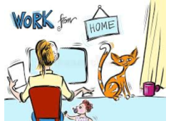 CYTPO CURRENCY SCAMMER