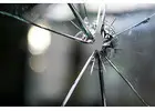 Best Broken Glass Replacement Service in Belvedere