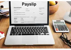 Want an Online Paystub Generator That Works Instantly?