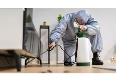 Best Pest Exterminator in Laguna