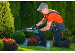 Best Garden Maintenance in Torbay