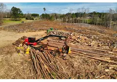 Best Lot Clearing Contractor in Plantation