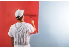 Best House Painter in Kumeu