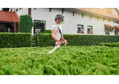 Trusted Hedge Trimming Services Auckland by Nextmow