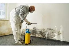 Best Mold Removal Service in Norma Triangle
