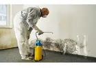 Best Mold Removal Service in Norma Triangle