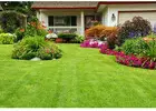 Best Lawn Care in Appleton