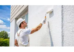Best Exterior Painting service in Wando