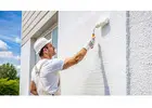 Best Exterior Painting service in Wando