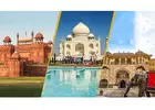 Unforgettable Adventures Await with Traveltrip24x7: Your Trusted Travel Agency in Delhi, India