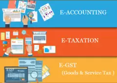 Offline Accounting Course in Delhi, 110006, with Free SAP Finance FICO  by SLA Consultants 
