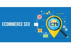 Drive More Traffic to Your Ecommerce Store with SEO Spidy's Proven Strategies in India
