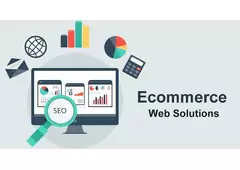 Transform Your Online Presence with SEO Spidy: India's Choice for Ecommerce Marketing