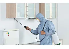 Best Termite Inspection