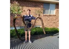 Plumbing Sydney